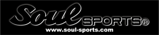 soul-sportsバナー1.jpg